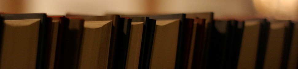2098433884_be71826119_b-970x225